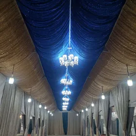 Toy hyzmatla palatga