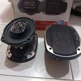 pioneer kalonka 500w