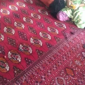 el haly 4....7 gyzyl