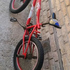 tigir welik welsepet welsoped