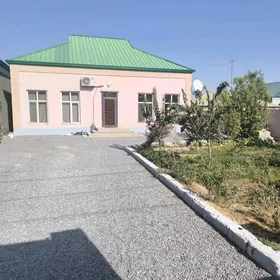 Багир/Bagyr mirewe