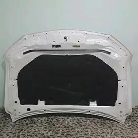 Kapot awalon 2019 20 21.