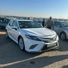 Toyota Camry 2019