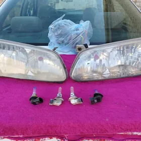 babycka zawodskoy bufer