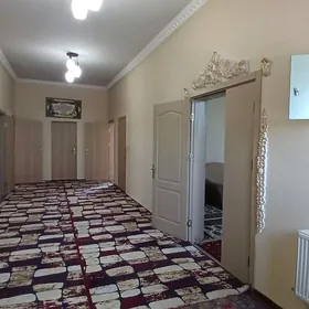 Haly  ковёр Халы