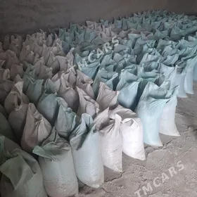 DERS GUM MYTY CAGE MITI SEMENT