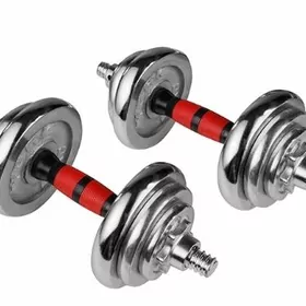 гантели gantel