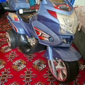 Чага моторы