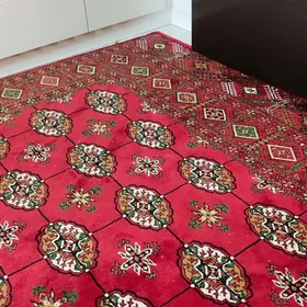 haly ulanylan arassa