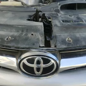 Toyota emblema morda