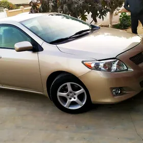 Toyota Corolla 2010