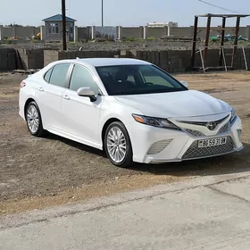 Toyota Camry 2019