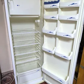 HOLODILNIK REGAL ARASSAJA