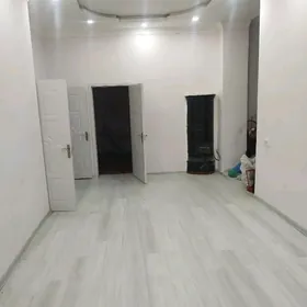 Satlyk Satlyk Jay 3 komnut