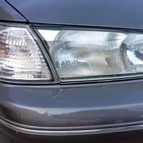 CUYSHE FAR LISICHKA-BABOCKA