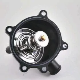 Touareg Termostat 4,2L