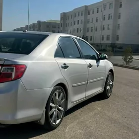 Woditel gerek polnyy den