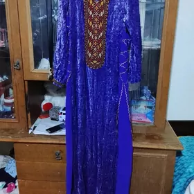 арасса койнеглер