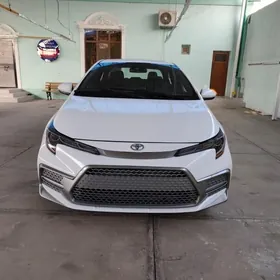 Toyota Corolla 2020