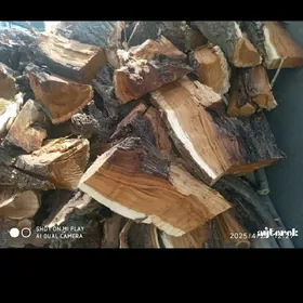 Kefelara Toy Sadakalara Odun