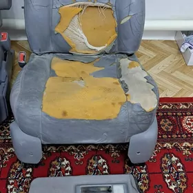 сденни.сиене