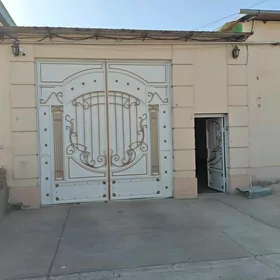 Taze Internat Jay 8 sotk