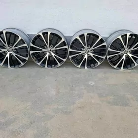 2018 Kemri Diska Arg Gara