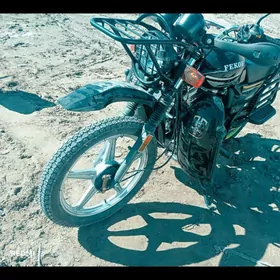 Fekon FK200-14G 2025