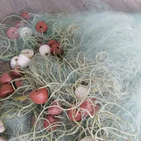 baraban krutilka tor