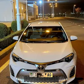 Toyota Corolla 2019