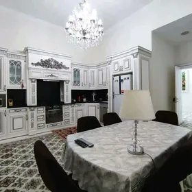 Gysdagly elitka arzanlaşyk 