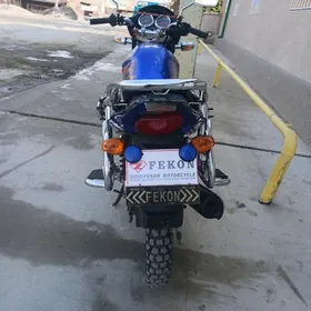 Fekon FK200-14G 2017