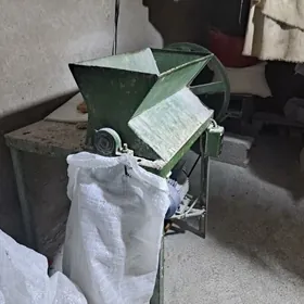 tokly çörk dowralÿan ysdanok