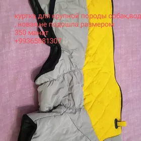 куртка для крупной породы соба