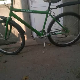 tigir gyssagly welik uly 26lyk