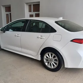 Toyota Corolla 2022
