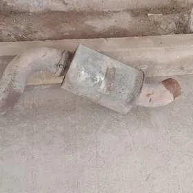 wolwo gulsitel bacok