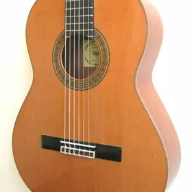 Raýmundo gitara.