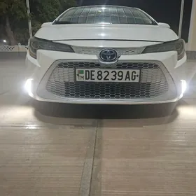 Led cyra Tumannik 2020 corolla