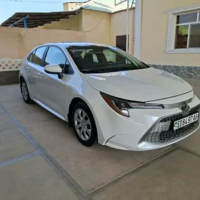 Obilsowka 2020 2022 corolla