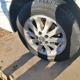 Brosga R16 lyk disga