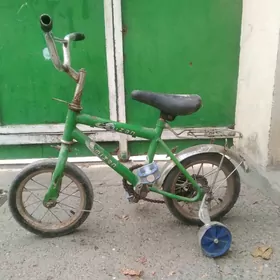 tigir kici zapcas caga welik