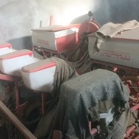 Pagta Däne ekji silka