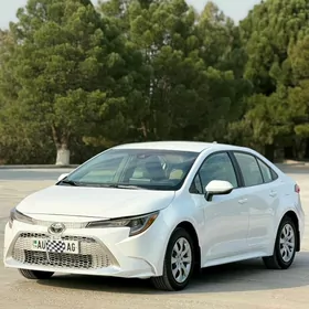 Toyota Corolla 2020
