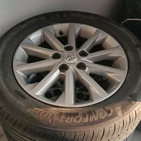 16 lyk disga pakryşga