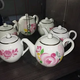 Gadymy orsun caynegi