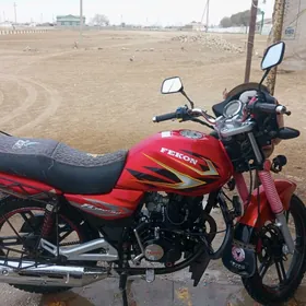 Fekon FK200-14G 2024