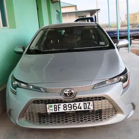 Toyota Corolla 2020