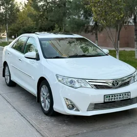 Toyota Camry 2013