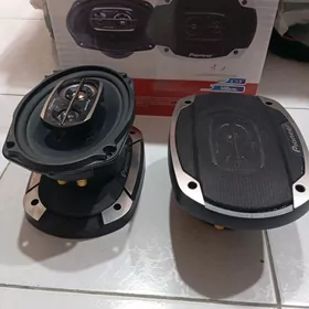 pioneer kalonka 500w